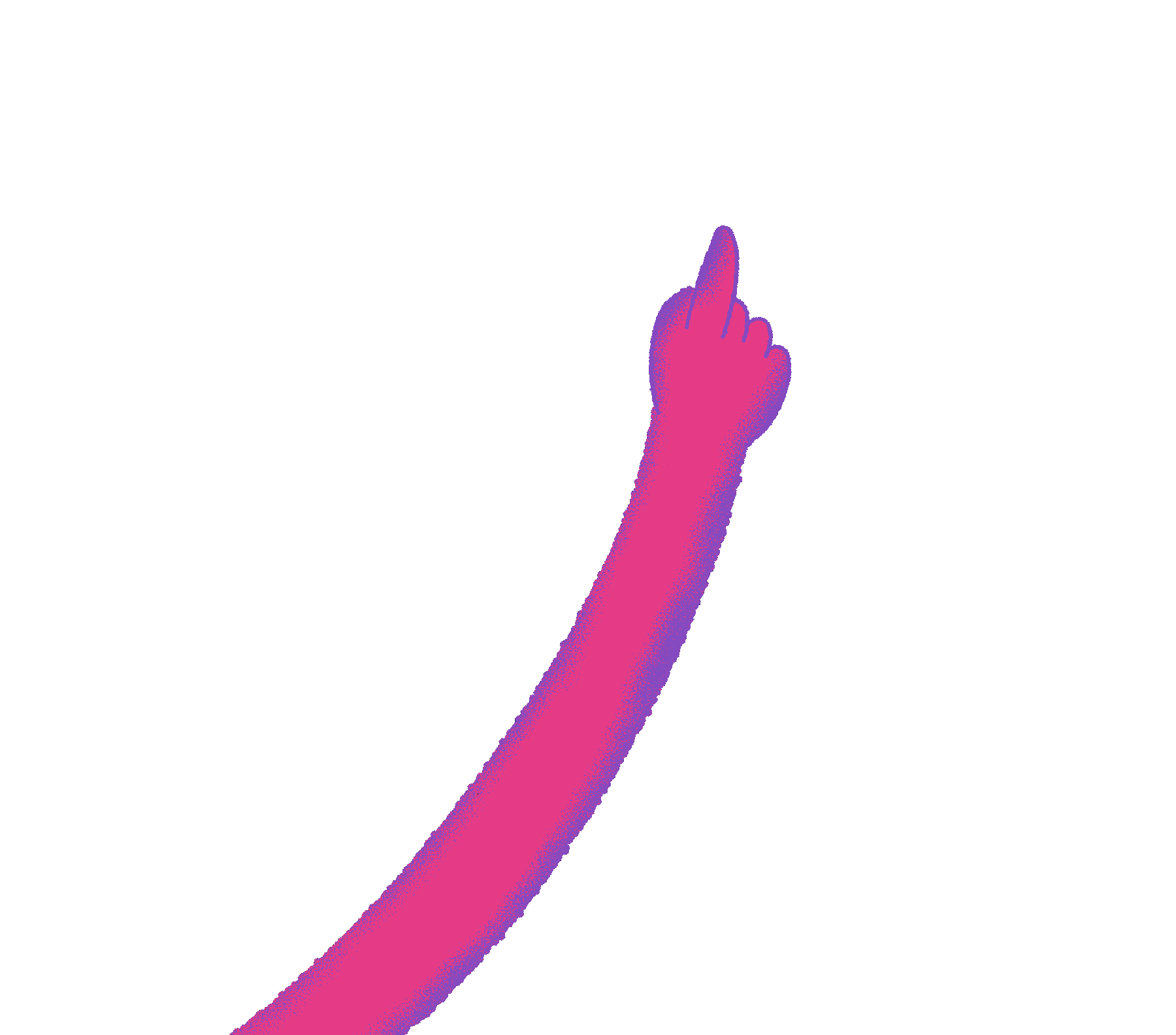 brazo